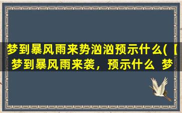 梦到暴风雨来势汹汹预示什么(【梦到暴风雨来袭，预示什么  梦境解析】)